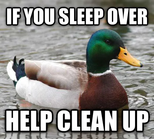 A mallard duck with a green head and yellow beak floats calmly in water, with bold white text overlaid that reads 'IF YOU…