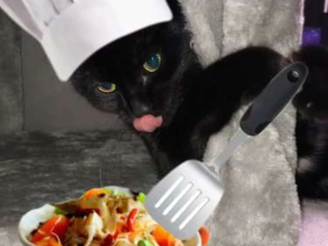 A black cat wearing a white chef's hat leans over a bowl of colorful food, its pink tongue sticking out as it looks at the…