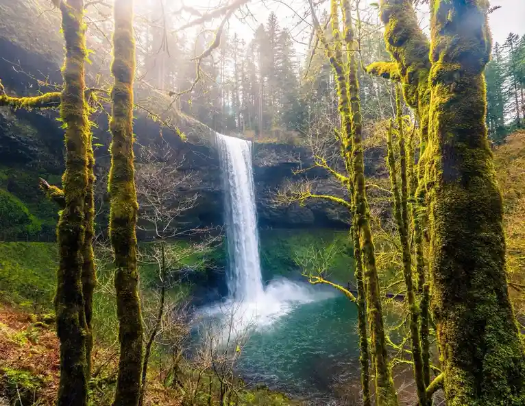 A serene, sunlit waterfall cascades into a pool, framed by moss-covered trees in a lush forest. The overlaid text reads 'i'm…