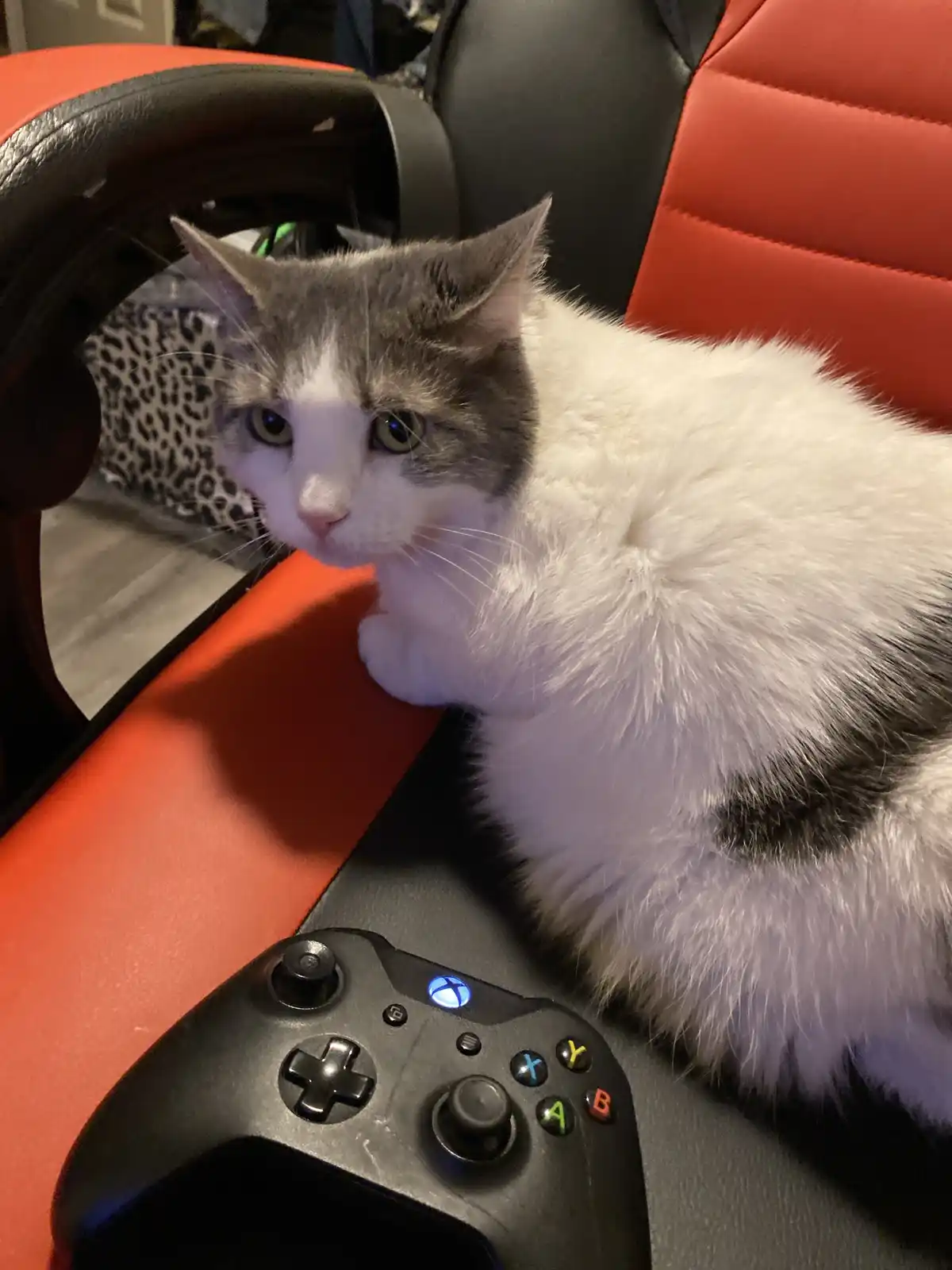 The Ultimate Gamer Vibes