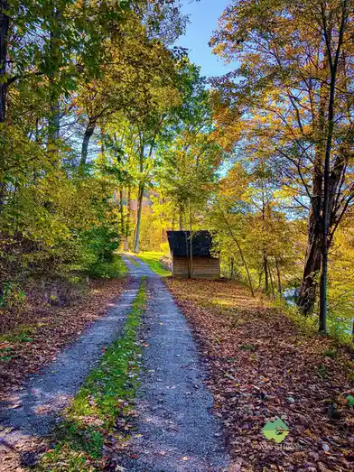 A scenic autumn photo shows a gravel path winding through vibrant yellow and green trees, leading to a small wooden shed…