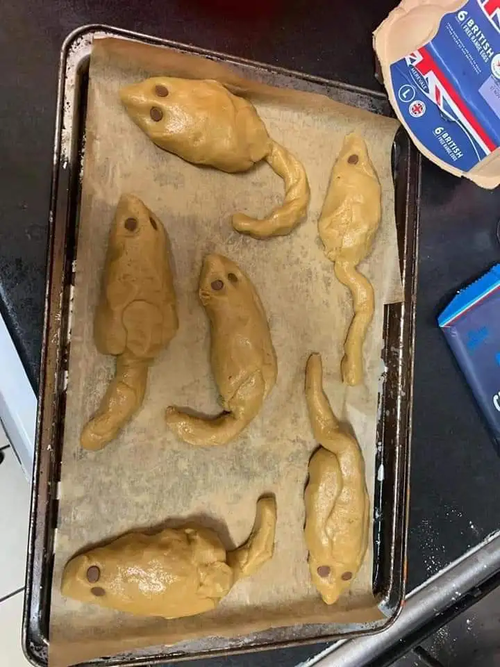 Attempted to Bake Mouse Cookies: A Sweet Experiment