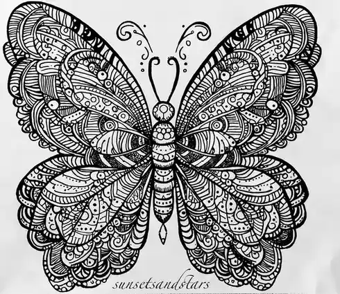A black and white line drawing of a highly detailed, ornate butterfly with intricate patterns covering its wings and body…