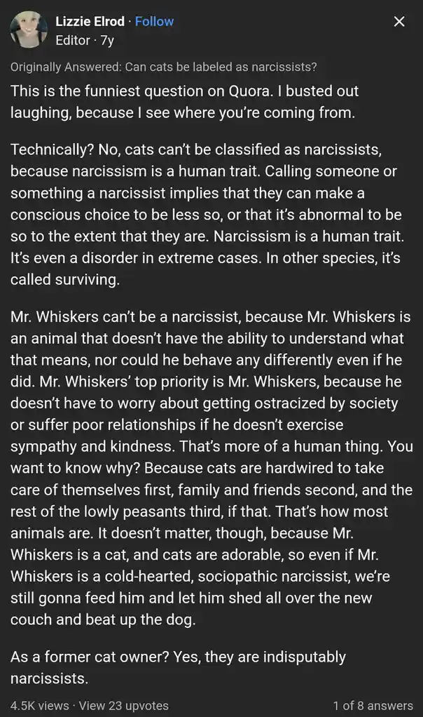 Why Cats Are the Most Adorable Narcissists