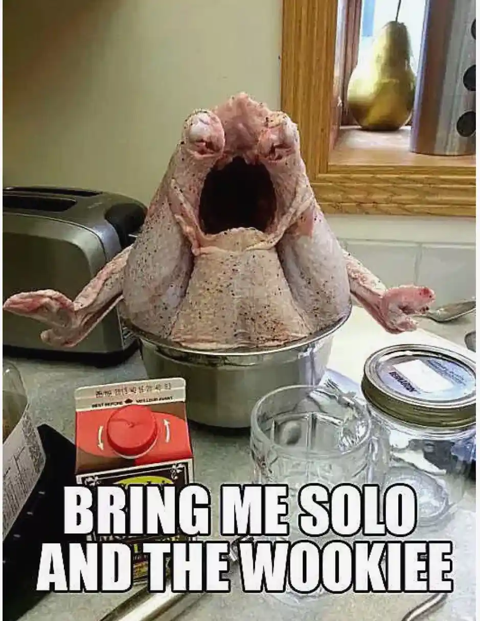 A raw, plucked turkey sits in a metal bowl on a kitchen counter, its skin stretched taut with its beak and neck pulled back…