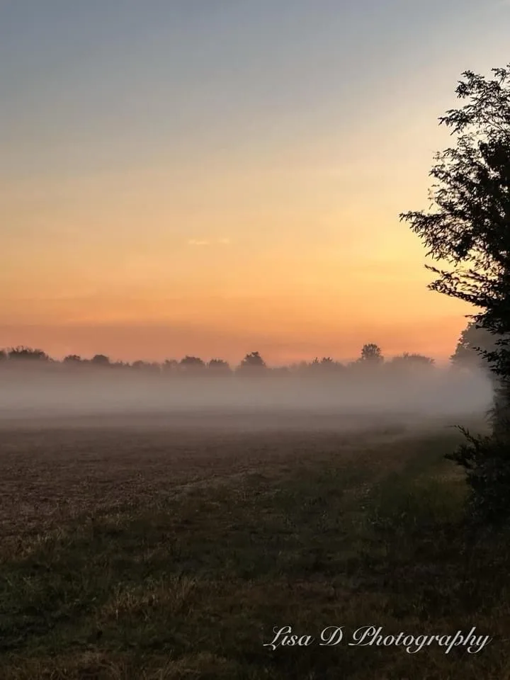 A serene, misty field at sunrise or sunset with a gradient sky from orange to blue, silhouetted trees on the right, and a…