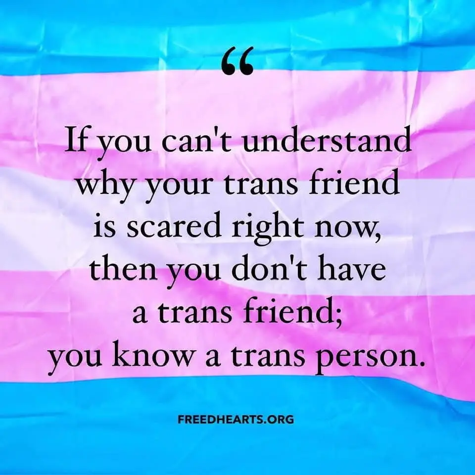 The image displays a crinkled transgender pride flag with horizontal stripes of light blue, pink, and white. Centered on the…