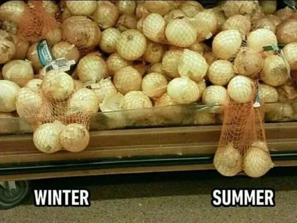 A supermarket produce shelf displays bags of onions, with the left side labeled 'WINTER' showing a full bag and the right…
