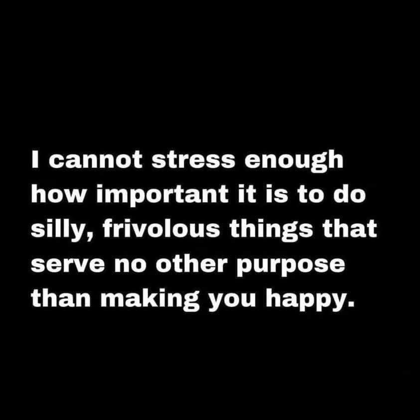 A black background with white text that reads: 'I cannot stress enough how important it is to do silly, frivolous things…