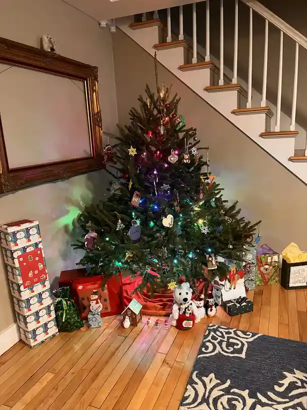 A decorated Christmas tree with colorful lights and ornaments stands in a home's entryway, surrounded by wrapped presents…
