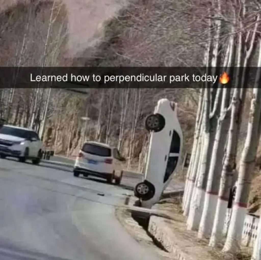A white car is shown upside down, wedged between a curb and a line of trees, with two other cars visible on the road. The…