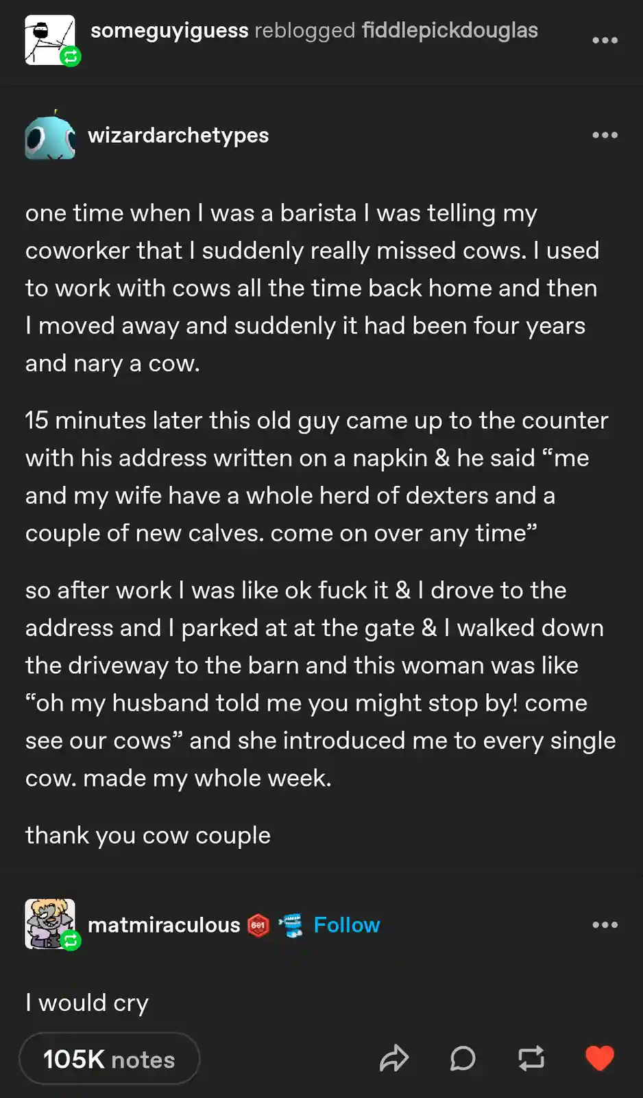 A screenshot of a Tumblr post with white text on a dark background, telling a story about a barista who missed cows and was…
