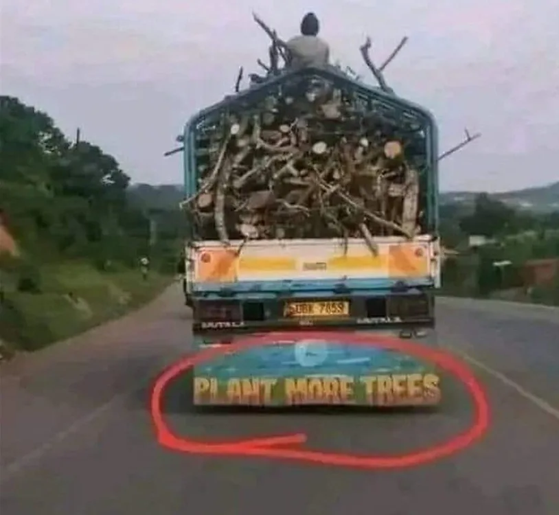 A truck loaded with cut tree branches and logs drives down a road, with a person sitting atop the cargo. The truck's bumper…