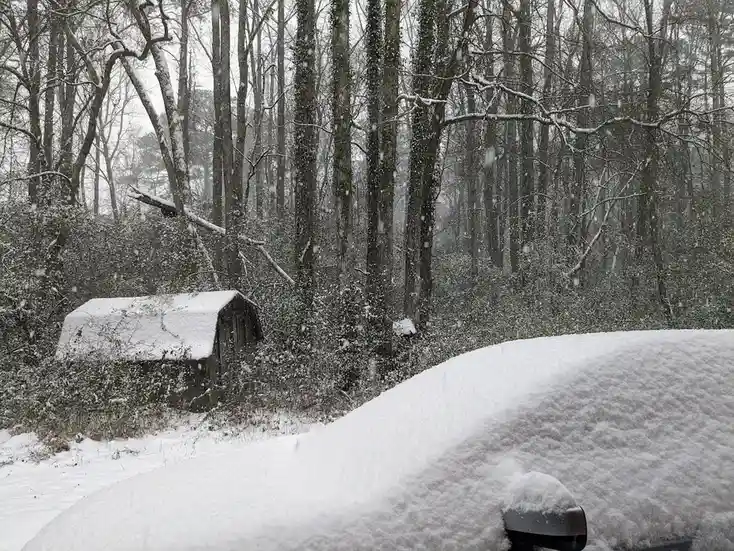 A car and a small shed are completely buried under fresh snow in a wooded area during a heavy snowfall. The car's side…