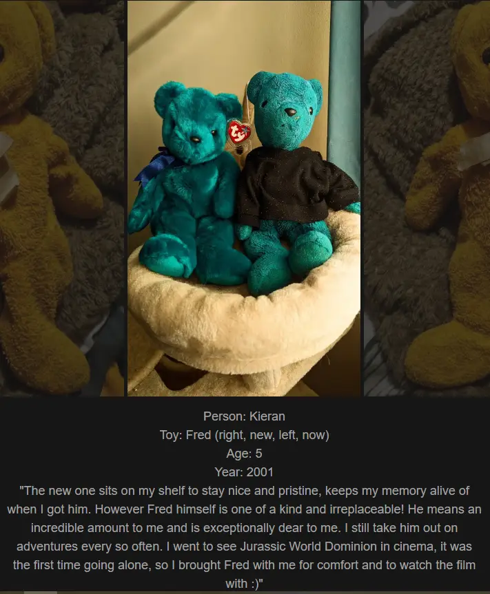Two teal Ty Beanie Babies, one wearing a black shirt, sit side-by-side on a beige pet bed. Text overlaid on a dark bar at…