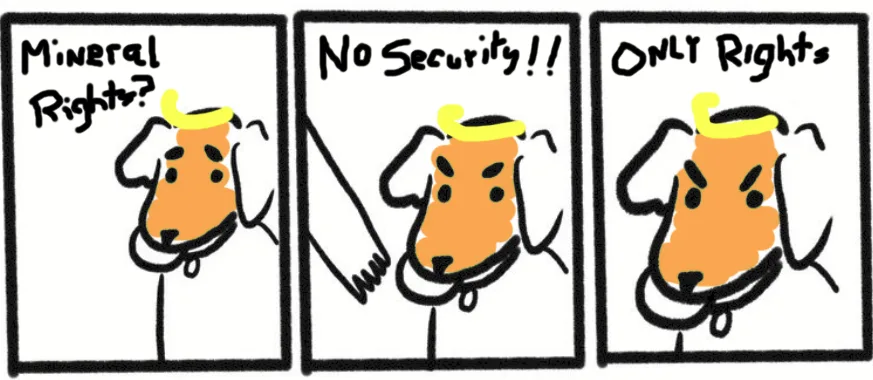 When the crazies take charge of the institution
