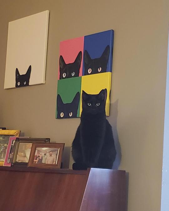 A black cat sits upright on a wooden surface, looking directly at the camera. Behind it, on the wall, hangs a pop-art style…