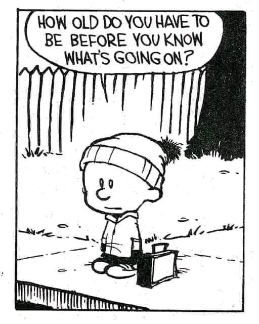 A black-and-white comic strip panel shows a young child wearing a beanie and sitting on a sidewalk with a small suitcase…