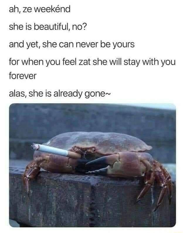 A crab with a cigarette balanced on its claws sits on a concrete ledge. Overlaid text reads: 'ah, ze weekend / she is…