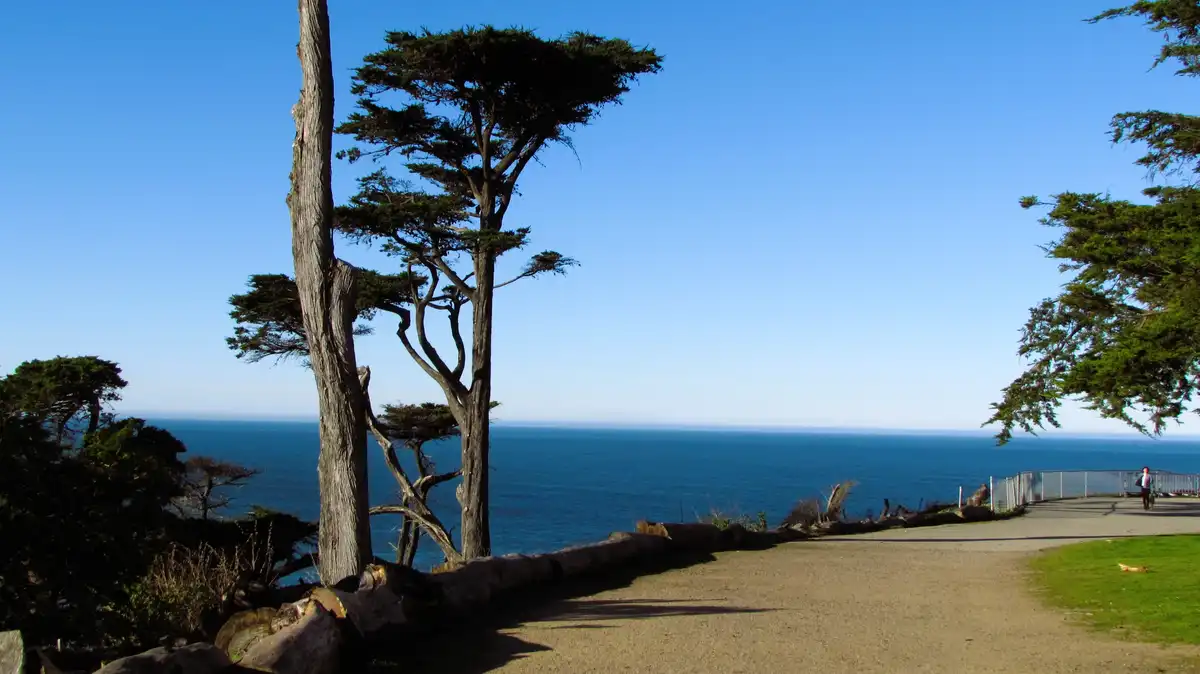 A scenic coastal view with tall, windswept trees framing a clear blue sky and ocean, a dirt path winds through the…