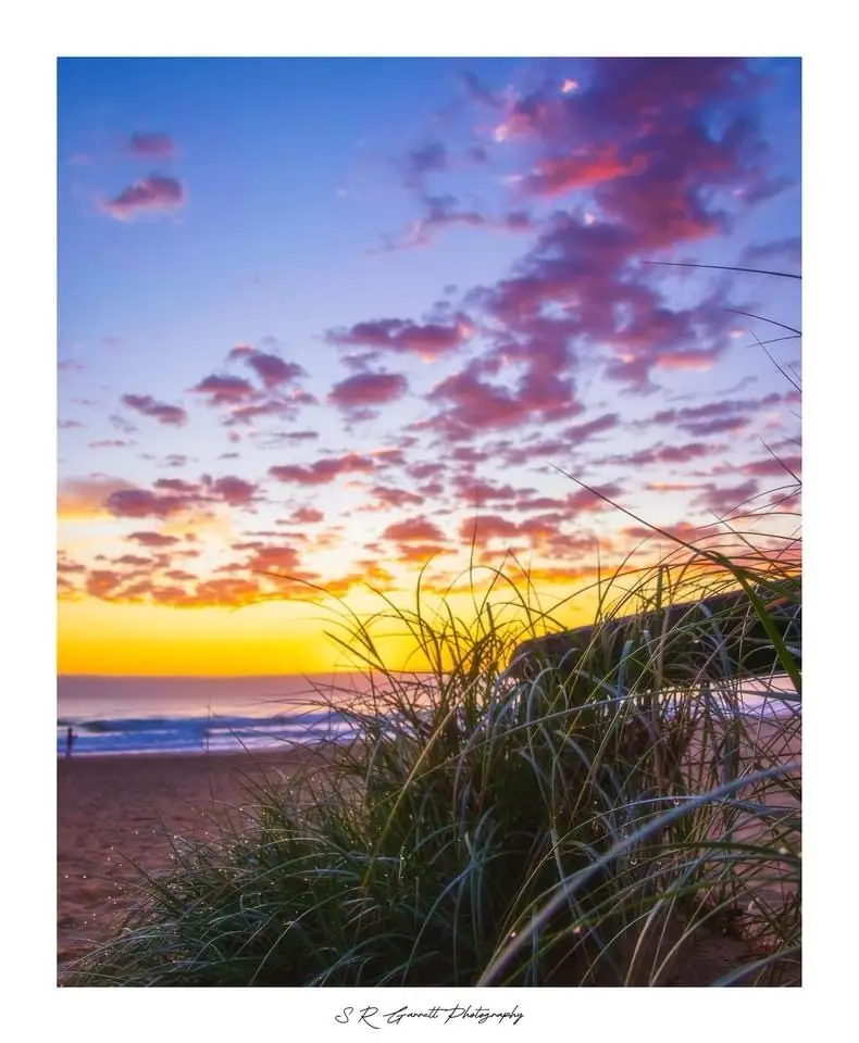 A serene beach sunset photo with vibrant pink and orange clouds over the ocean, framed by foreground beach grass. The…