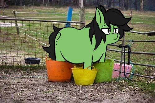 A green cartoon pony with a black mane and tired expression is digitally superimposed over a photo of several colorful…