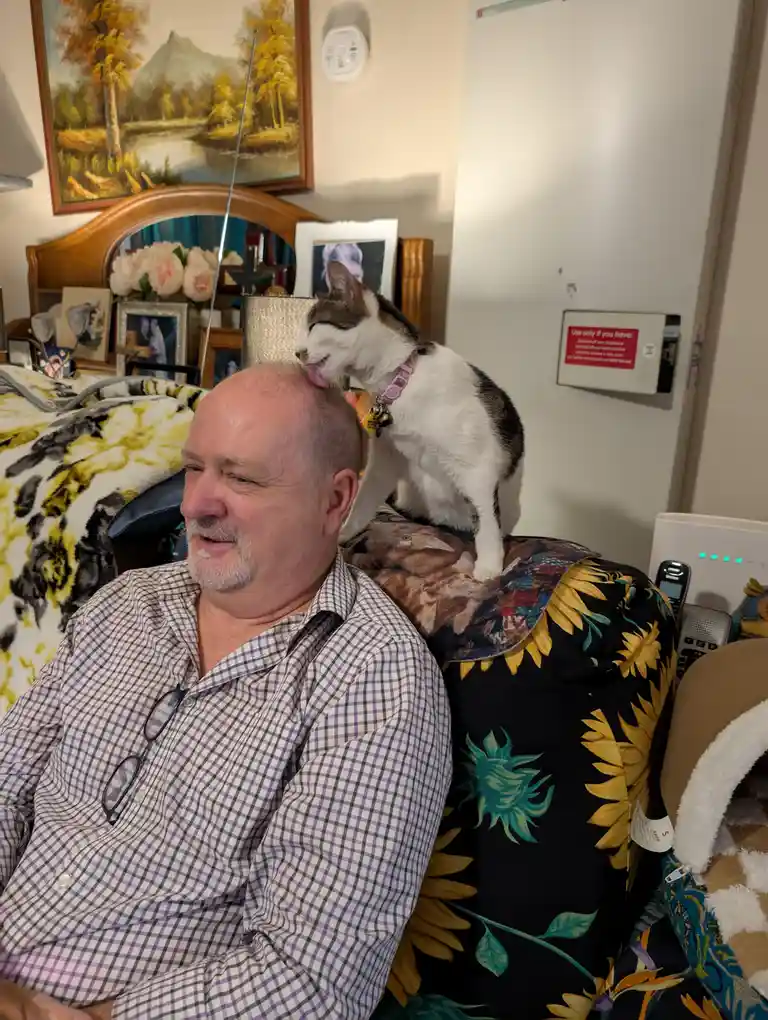 A man with a gray beard and glasses sits in a bedroom, wearing a purple and white checkered shirt, while a calico cat with a…
