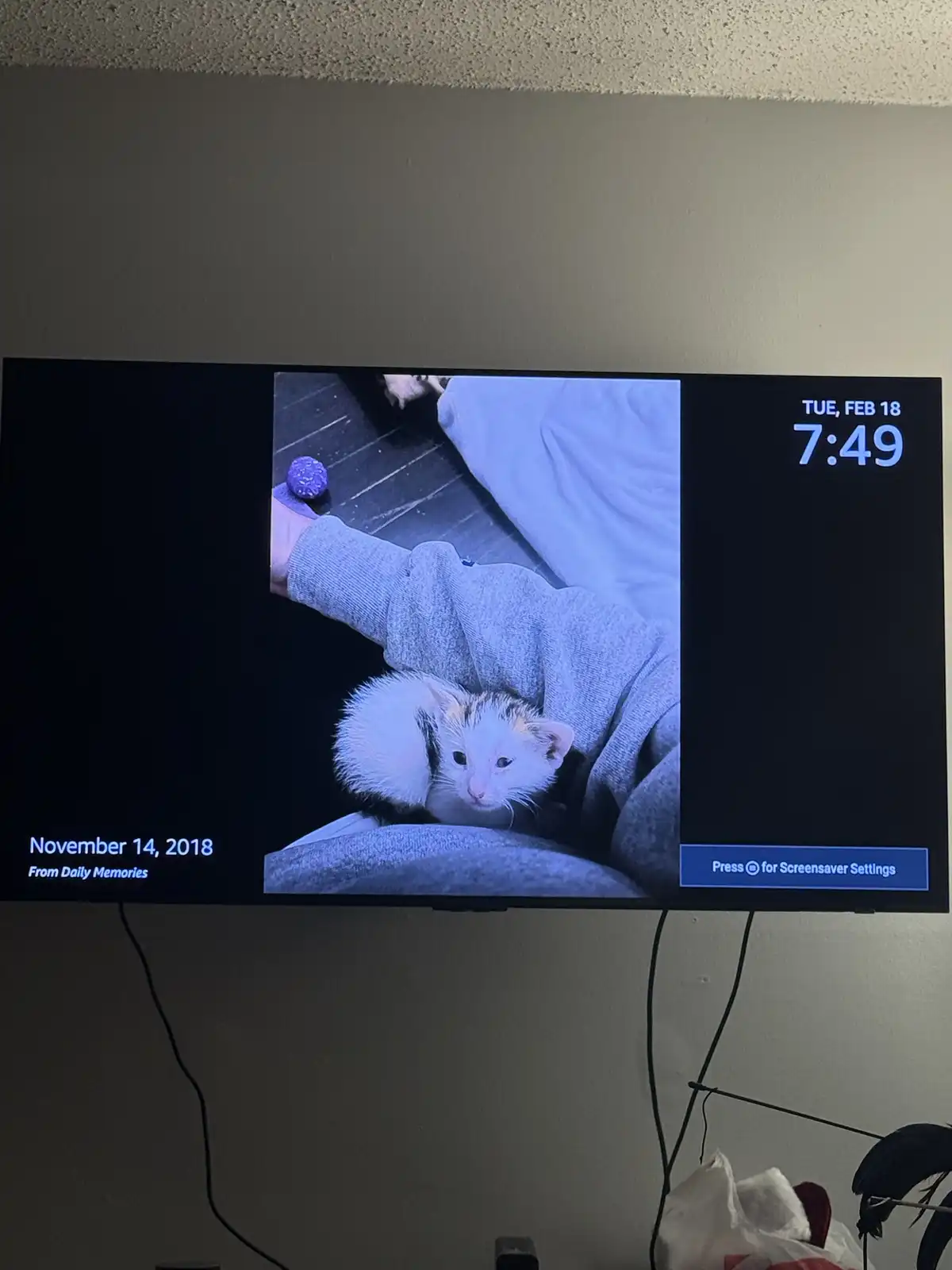 A TV screen displays a photo from 'Daily Memories' dated November 14, 2018, showing a small calico kitten nestled in a…
