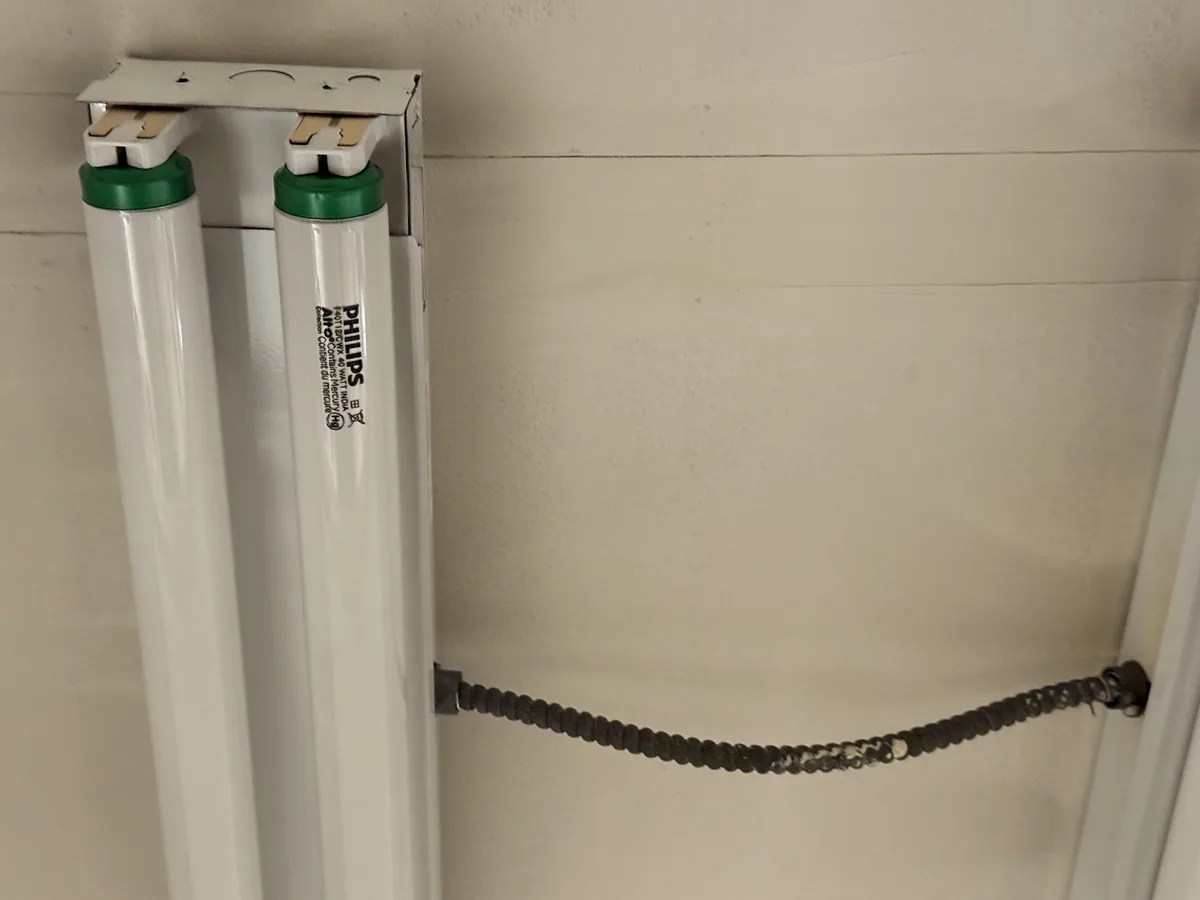 Two white Philips fluorescent light tubes are mounted in a fixture against a beige wall, with a dirty, frayed black security…