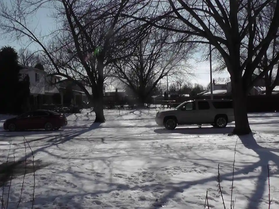 A snowy residential street with two cars parked on either side, bare trees casting long shadows across the snow. The…