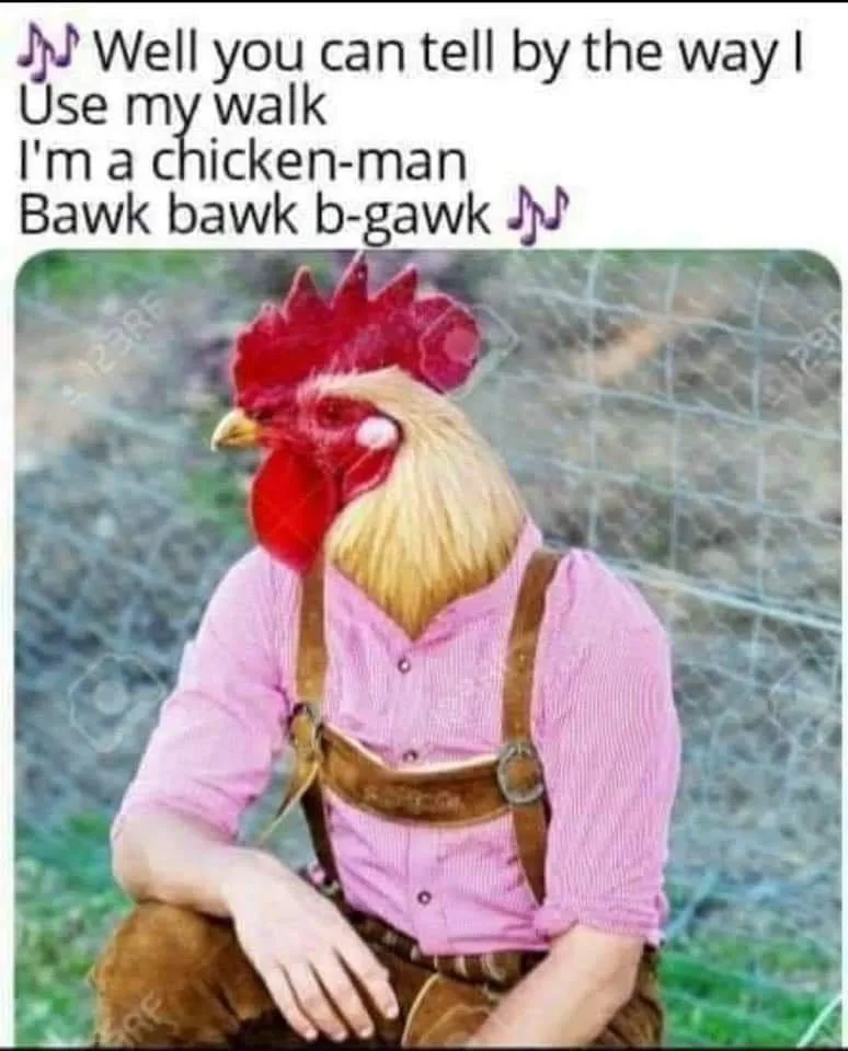 A person is sitting outdoors wearing a pink shirt and brown suspenders, but their head has been replaced with a rooster's…