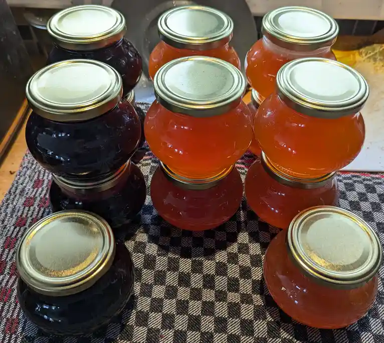 Several glass jars with metal lids, filled with dark and orange-red jam, are arranged on a checkered cloth. The overlaid…