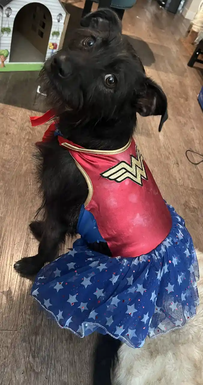 I'm super proud of this amazing costume!