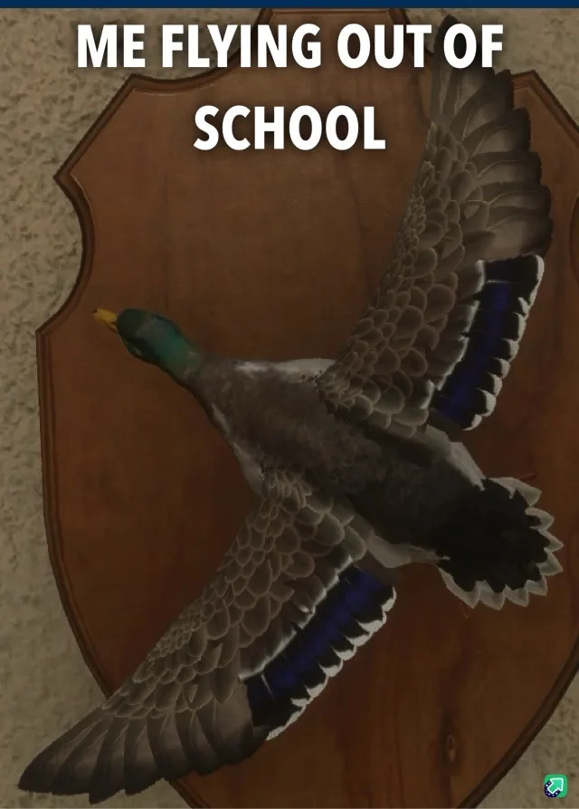 A taxidermied mallard duck with spread wings is mounted on a wooden shield-shaped plaque, with the text 'ME FLYING OUT OF…