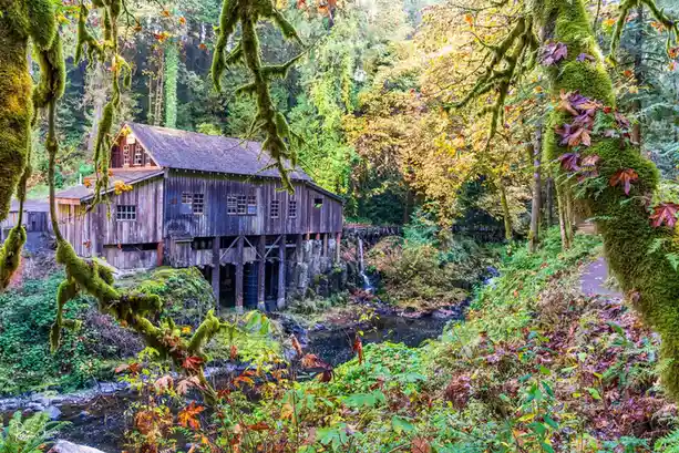 A picturesque, moss-covered wooden mill sits beside a stream in a lush forest with autumn foliage. Overlaid text reads 'i'm…