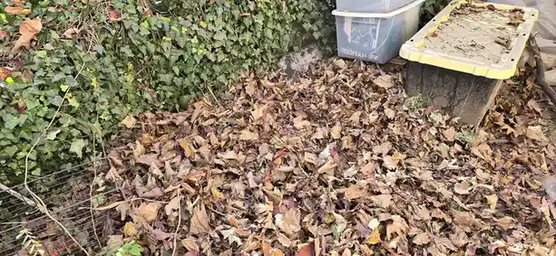 A small, spotted animal, likely a raccoon or similar creature, is partially hidden in a pile of dry autumn leaves next to a…