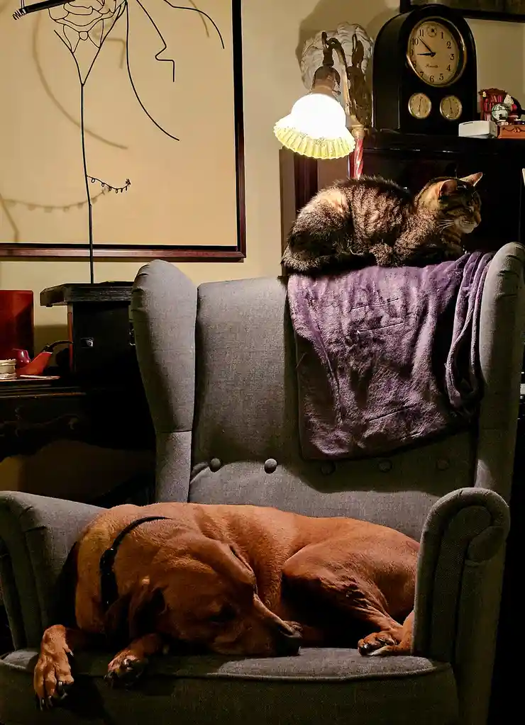 Take a Break, Tired Traveler...