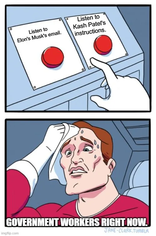 A two-panel comic shows a hand hovering over two red buttons labeled 'Listen to Elon's Musk's email' and 'Listen to Kash…