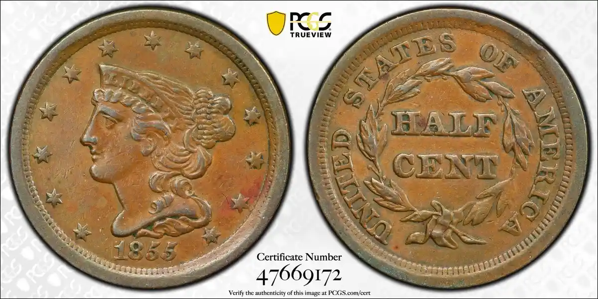 The image displays both sides of an 1855 United States half cent coin, showing Liberty's profile on the obverse and 'HALF…