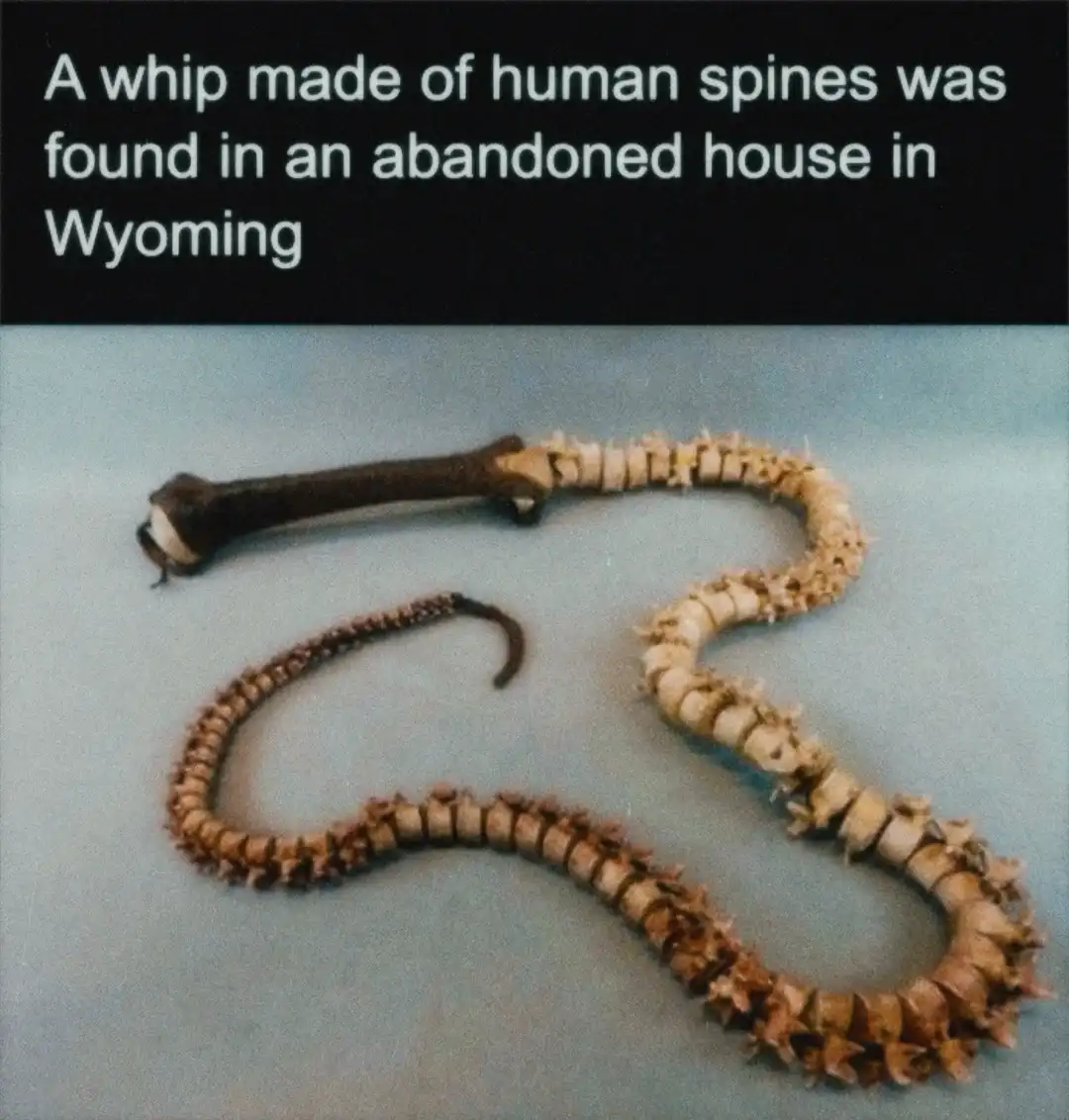 The image shows a whip made of human spinal vertebrae, laid out on a plain surface. The text overlaid at the top reads: 'A…