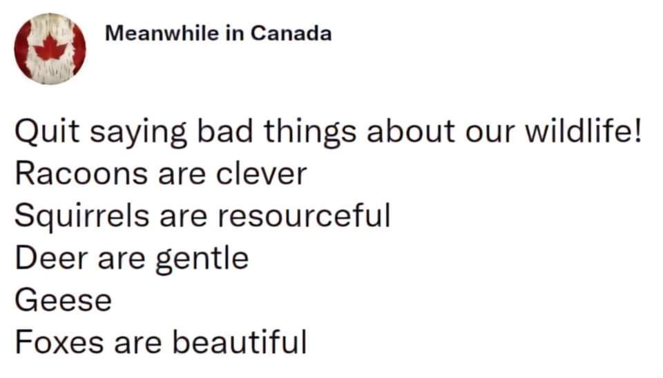 A white background image with black text mimicking a social media post. The header reads 'Meanwhile in Canada' next to a…