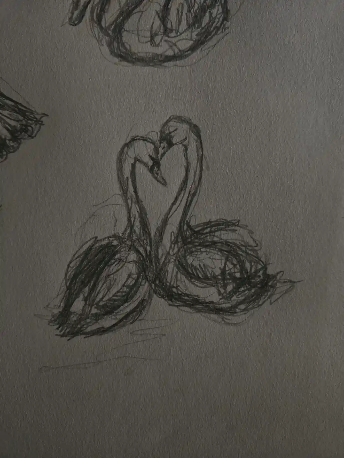 A rough pencil sketch on textured paper shows two swans with their long necks curved to form a heart shape, symbolizing…