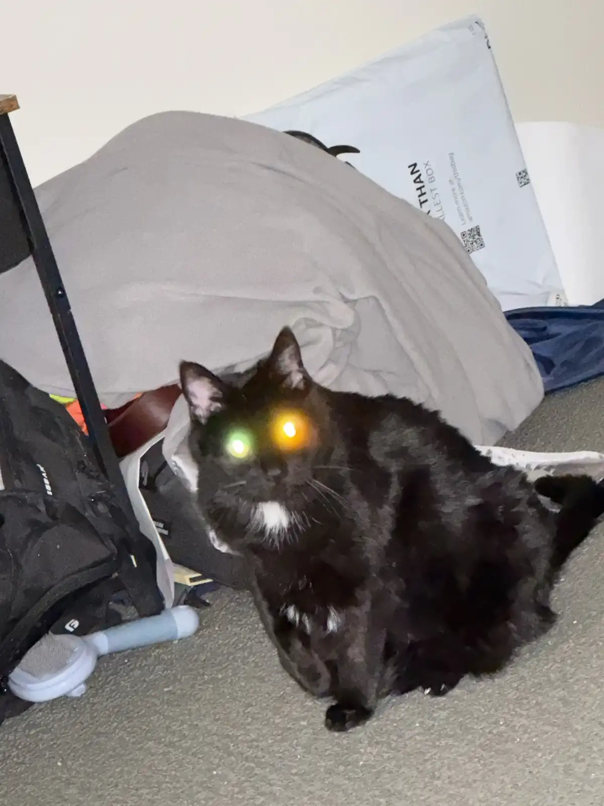 A black cat with white markings sits on a carpeted floor in a cluttered room, its eyes digitally altered to glow with…