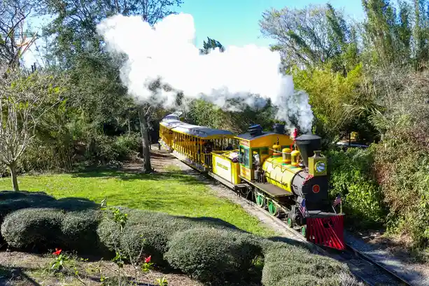 A bright yellow miniature steam train with red accents and American flags is chugging along a track through a lush green…