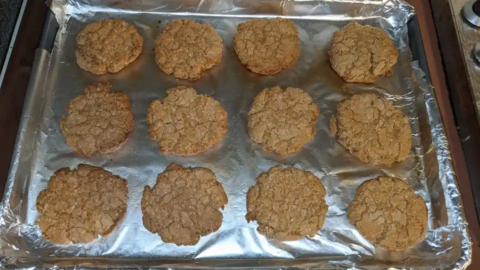 Who Wants to Try This Unattractive Oatmeal Cookie?