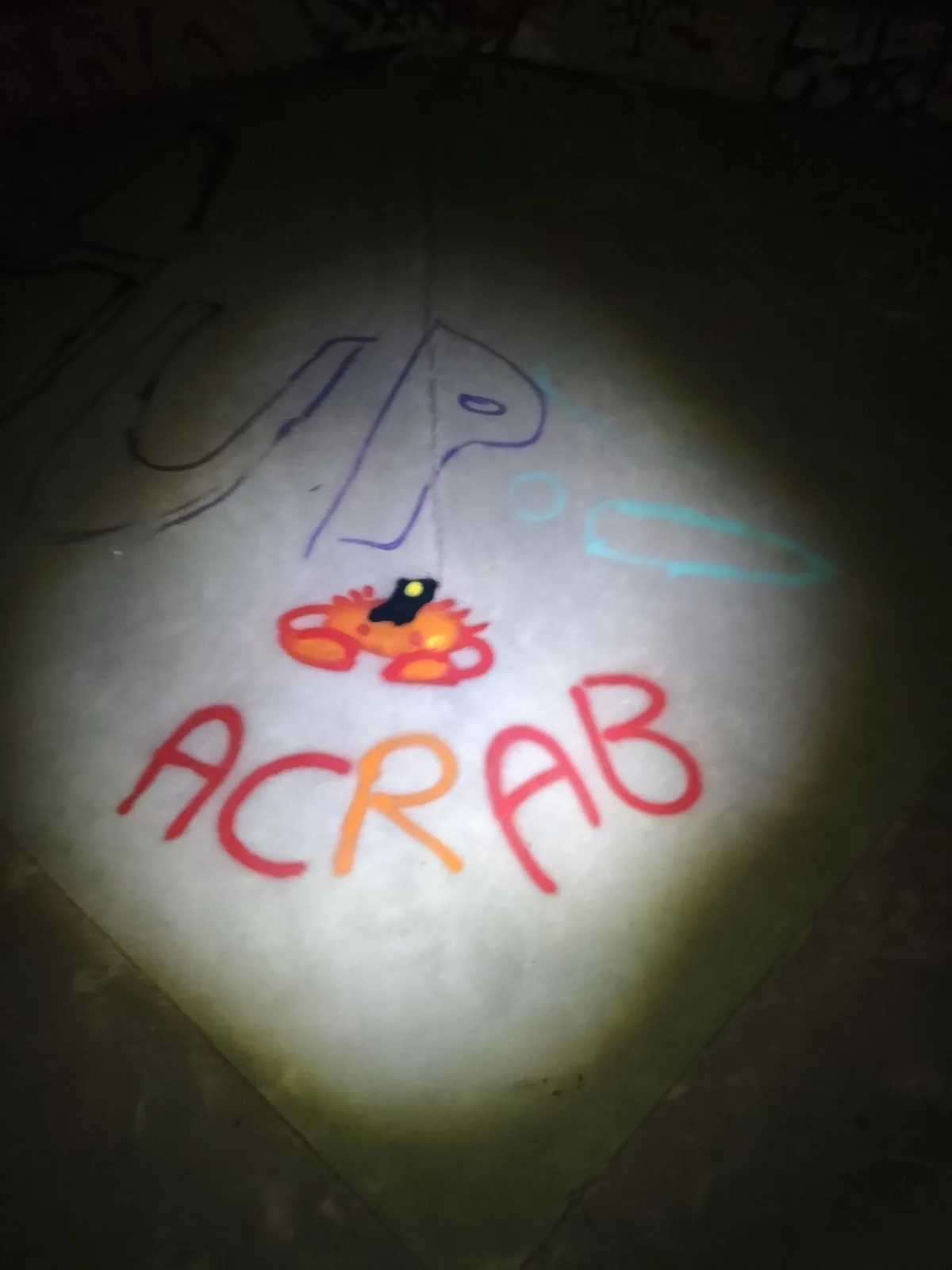 A dimly lit concrete surface shows spray-painted graffiti, including a small orange crab with a black police hat and the…