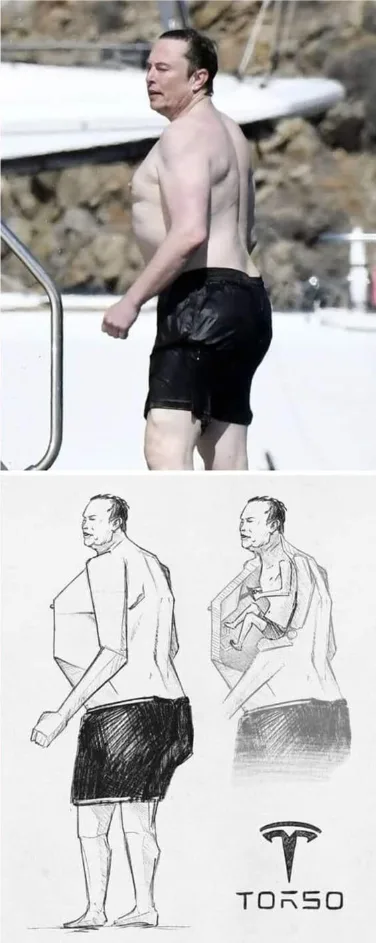A Study in TORSO: The Art of the Human Form