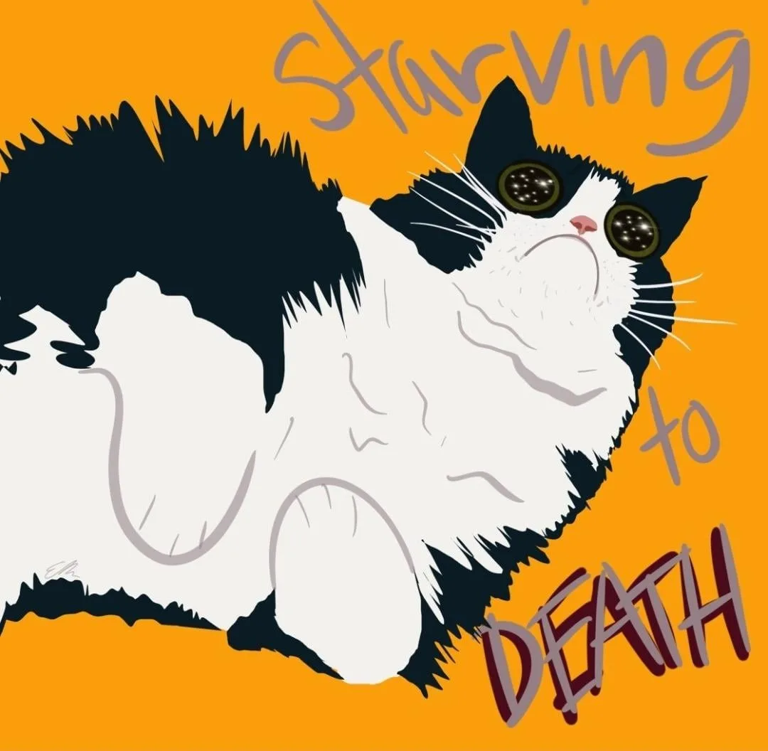 A cartoon illustration of a black and white cat lying on its side against an orange background, with large, starry eyes and…