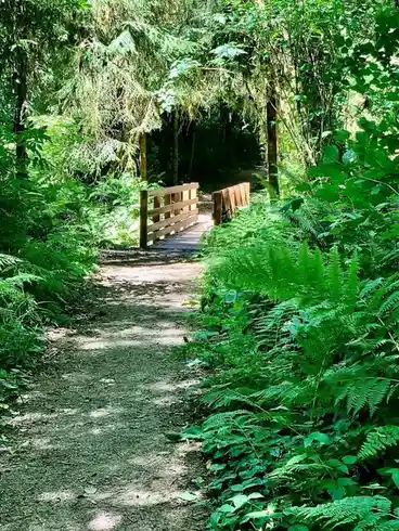 The Journey Ahead: Finding Your Path