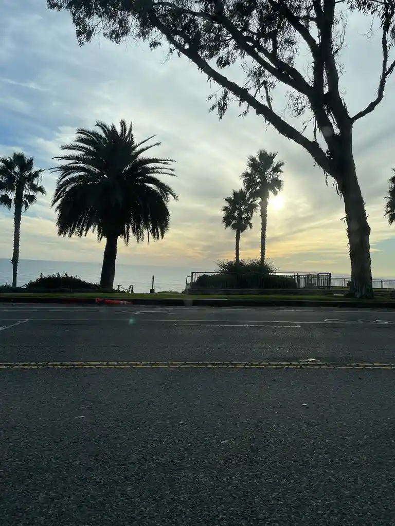 A scenic photo of a coastal road with palm trees and the ocean at sunset, featuring an orange traffic cone lying on the…